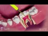 Özel Soğanlık Ağız ve Diş Sağlığı Polikliniği